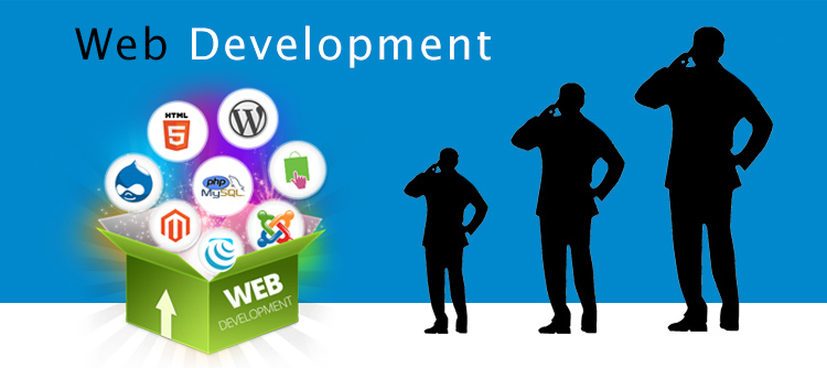 why-customised-website-development-is-must-for-your-business