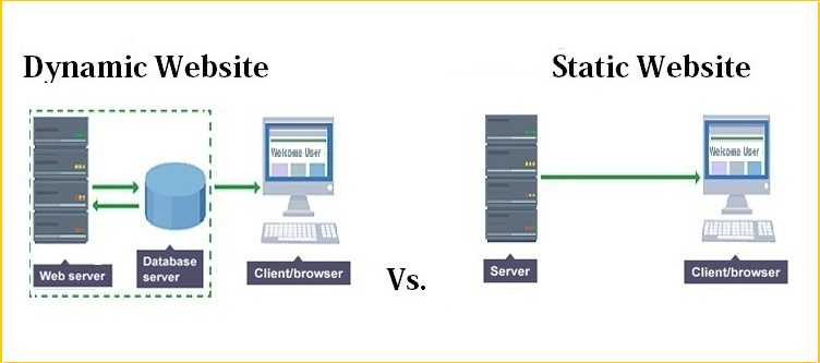 static website vs dynamic website examples