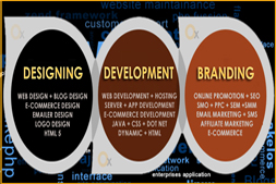 tips-for-choosing-the-best-website-designing-company