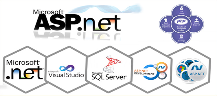 php-programming-and-asp-dot-net-programming-website-development