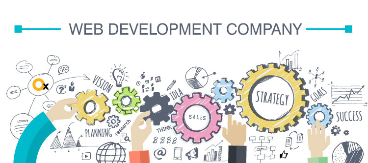 what-makes-a-web-development-company-complete